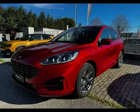 Annonce FORD KUGA Hybride 2021 d'occasion 