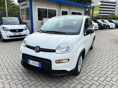 Used FIAT PANDA Hybrid 2022 Ad 