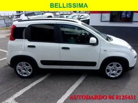 Used FIAT PANDA Hybrid 2022 Ad 