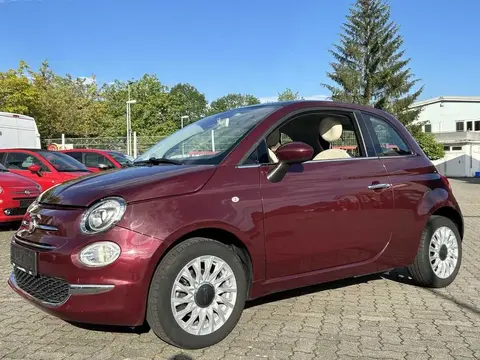 Used FIAT 500 Petrol 2017 Ad 