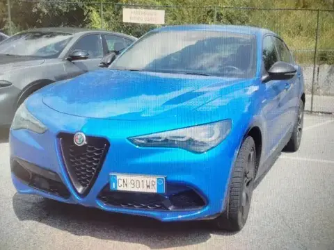 Used ALFA ROMEO STELVIO Diesel 2023 Ad 