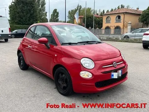 Used FIAT 500 Petrol 2019 Ad 