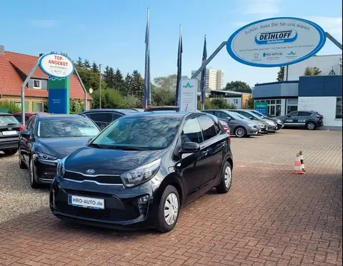 Used KIA PICANTO Petrol 2019 Ad 