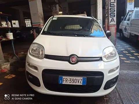 Used FIAT PANDA Petrol 2018 Ad 