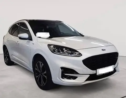 Used FORD KUGA Diesel 2020 Ad 