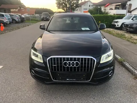 Used AUDI Q5 Diesel 2017 Ad 