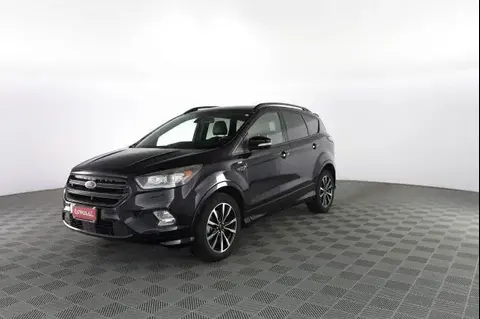 Used FORD KUGA Diesel 2017 Ad 