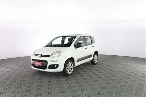 Used FIAT PANDA  2016 Ad 