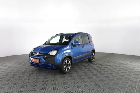 Used FIAT PANDA Hybrid 2023 Ad 