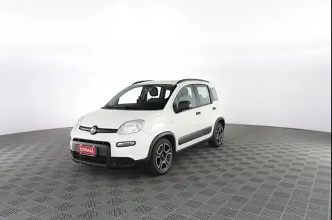 Used FIAT PANDA Hybrid 2021 Ad 