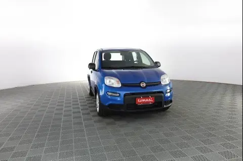 Used FIAT PANDA Hybrid 2024 Ad 