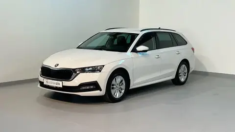 Annonce SKODA OCTAVIA Diesel 2021 d'occasion 