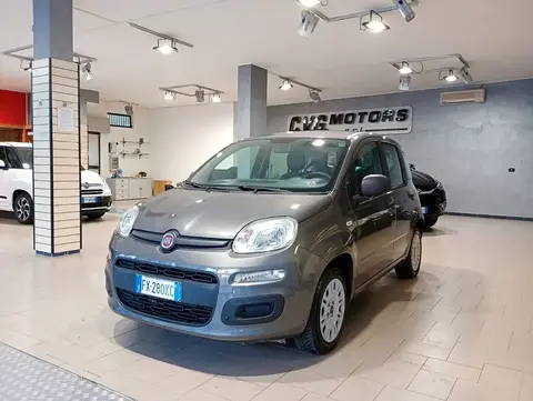 Annonce FIAT PANDA Essence 2019 d'occasion 