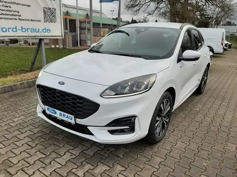 Used FORD KUGA Petrol 2023 Ad 