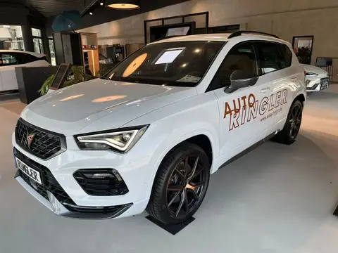 Used CUPRA ATECA Petrol 2024 Ad 