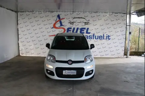 Annonce FIAT PANDA Hybride 2020 d'occasion 