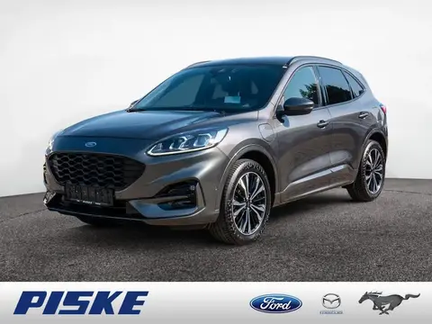 Annonce FORD KUGA Hybride 2021 d'occasion 