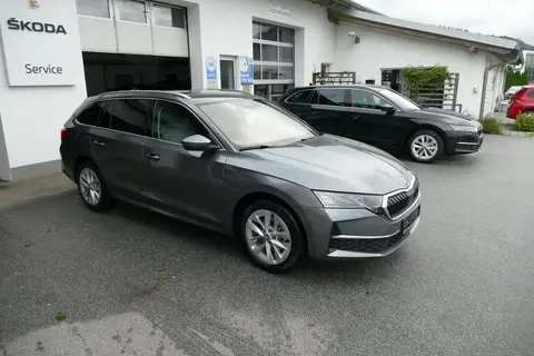 Used SKODA OCTAVIA Petrol 2024 Ad 