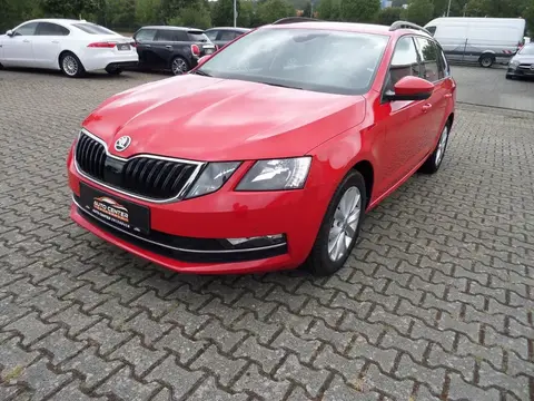 Annonce SKODA OCTAVIA  2019 d'occasion 