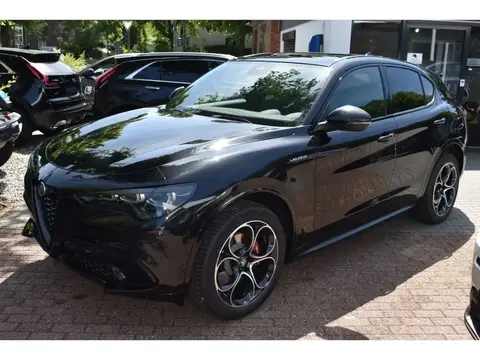 Used ALFA ROMEO STELVIO Petrol 2024 Ad 