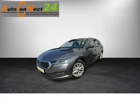 Used SKODA OCTAVIA Petrol 2023 Ad 