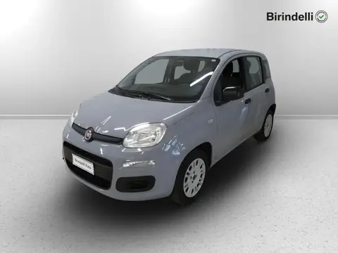 Used FIAT PANDA Petrol 2019 Ad 