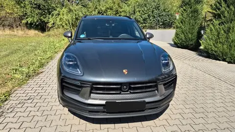 Used PORSCHE MACAN Petrol 2024 Ad 