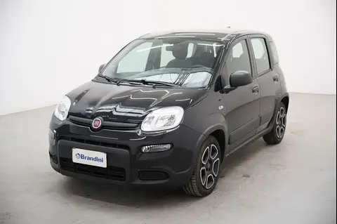 Used FIAT PANDA Hybrid 2022 Ad 