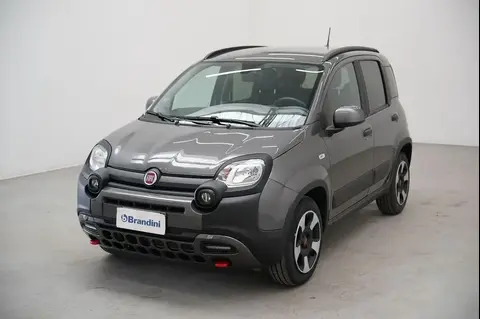 Annonce FIAT PANDA Hybride 2023 d'occasion 