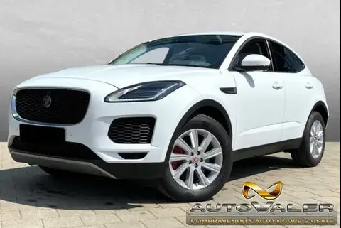 Used JAGUAR E-PACE Diesel 2018 Ad 