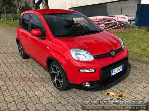 Annonce FIAT PANDA Hybride 2021 d'occasion 