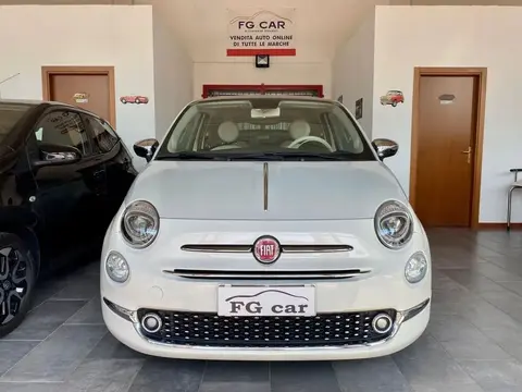 Used FIAT 500 Petrol 2019 Ad 