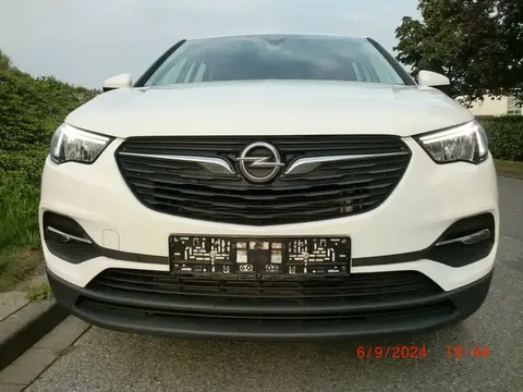 Used OPEL GRANDLAND Petrol 2019 Ad 