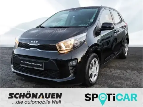 Used KIA PICANTO Petrol 2024 Ad 