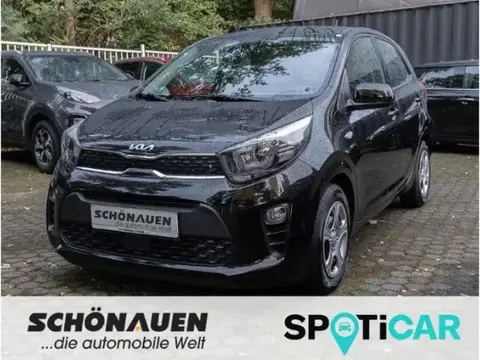 Annonce KIA PICANTO Essence 2024 d'occasion 