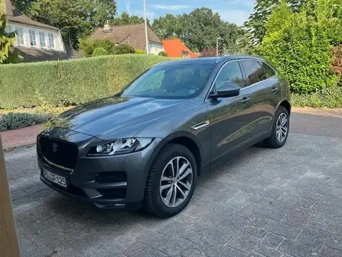 Used JAGUAR F-PACE Diesel 2019 Ad 