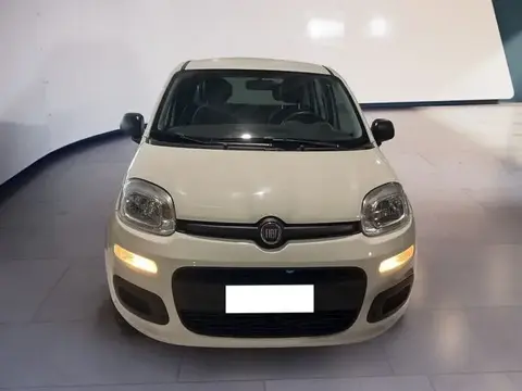 Used FIAT PANDA  2018 Ad 