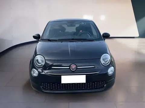 Used FIAT 500 Hybrid 2020 Ad 