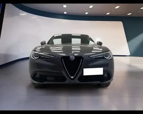 Used ALFA ROMEO STELVIO Diesel 2019 Ad 