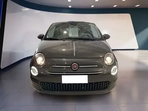 Used FIAT 500 Hybrid 2021 Ad 