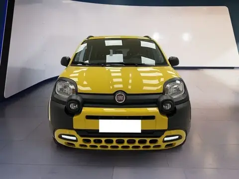 Used FIAT PANDA Hybrid 2021 Ad 