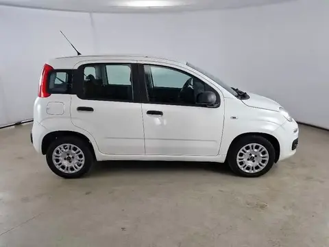 Annonce FIAT PANDA Diesel 2019 d'occasion 