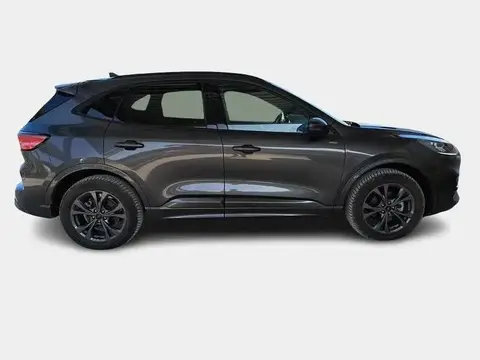 Annonce FORD KUGA Hybride 2023 d'occasion 