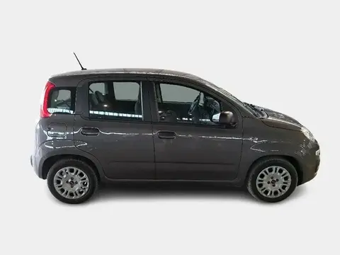 Used FIAT PANDA Hybrid 2020 Ad 