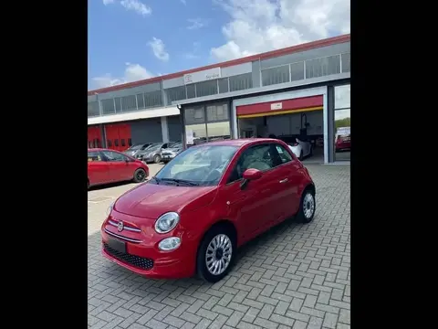 Used FIAT 500 Petrol 2020 Ad 