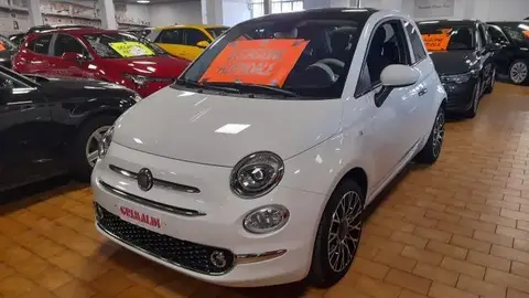 Used FIAT 500 Petrol 2023 Ad 