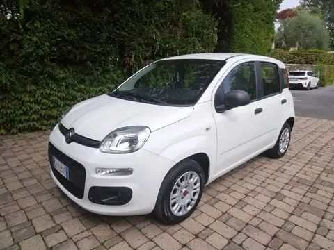 Used FIAT PANDA Petrol 2020 Ad 