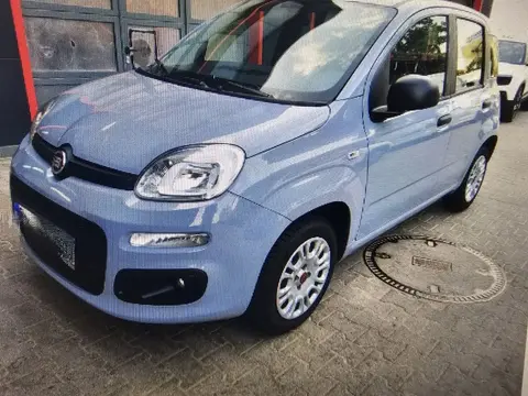 Used FIAT PANDA Petrol 2020 Ad 