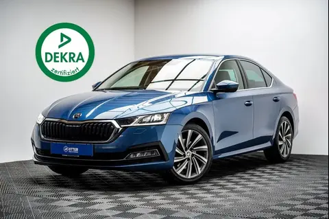 Annonce SKODA OCTAVIA Diesel 2021 d'occasion 