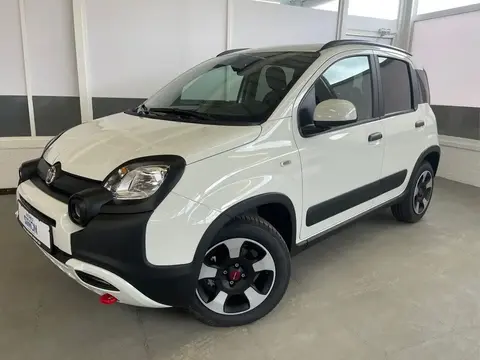 Annonce FIAT PANDA Essence 2024 d'occasion 